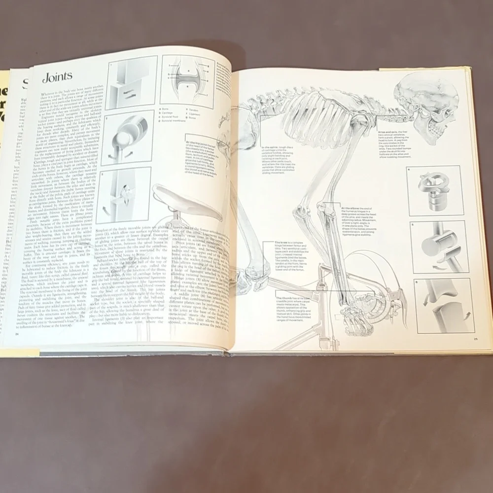 1982 The Way Your Body Works hard cover book Artists House Stonehouse Netherland